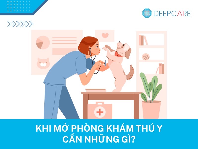 Mở phòng khám thú y cần những gì cho người mới bắt đầu