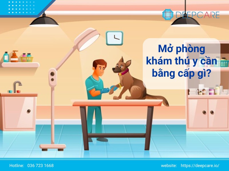 Mở phòng khám thú y cần bằng cấp gì theo quy định?